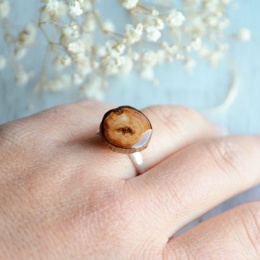 Wierzbowy pierścionek z drewnianym oczkiem