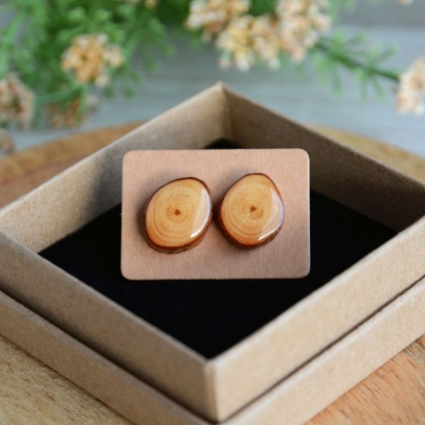 Drewniane kolczyki sztyfty owalne