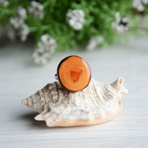 Sosnowy pierścionek