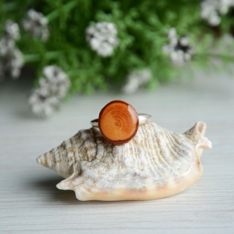 Świerkowa biżuteria