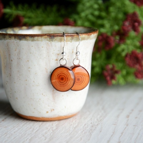 Kolczyki wiszące z drewna modrzewiowego i srebra