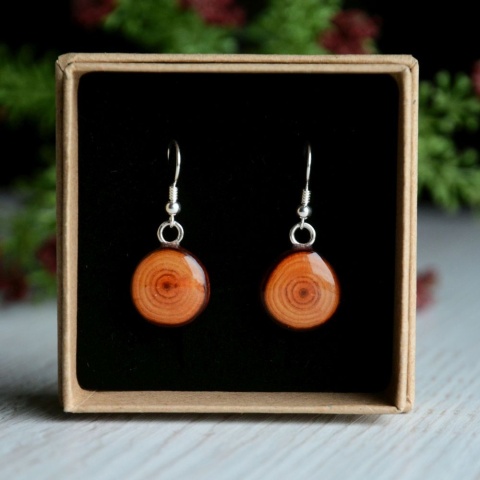 Kolczyki wiszące z drewna modrzewiowego i srebra