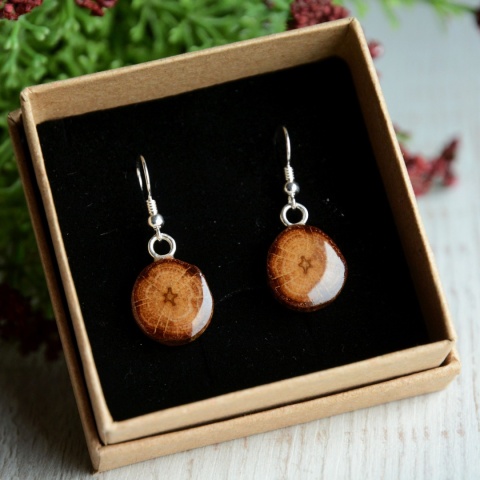 Kolczyki wiszące z drewna dębowego i srebra
