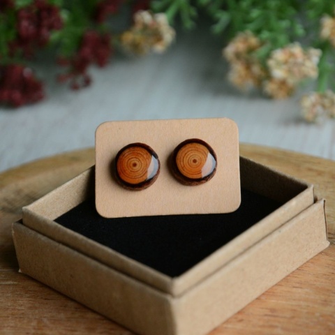 Kolczyki z drewna modrzewiowego