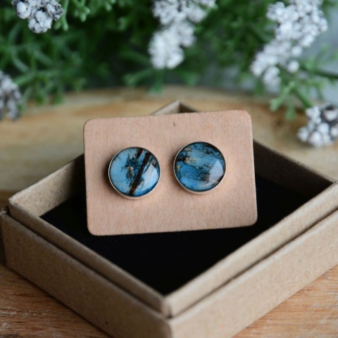 Niebieskie kolczyki z korą