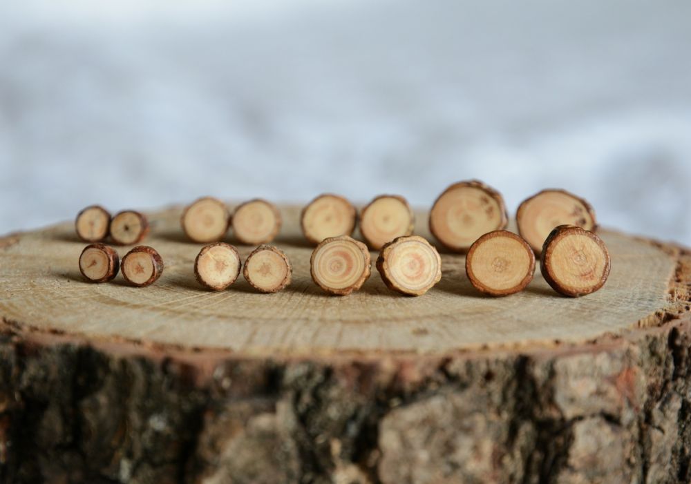 Drewniane kolczyki