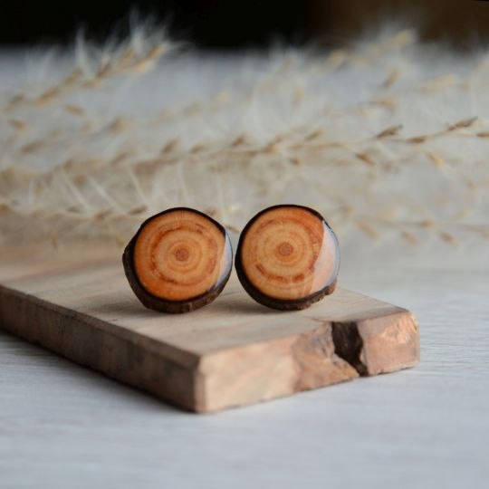 Kolczyki z drewna modrzewia